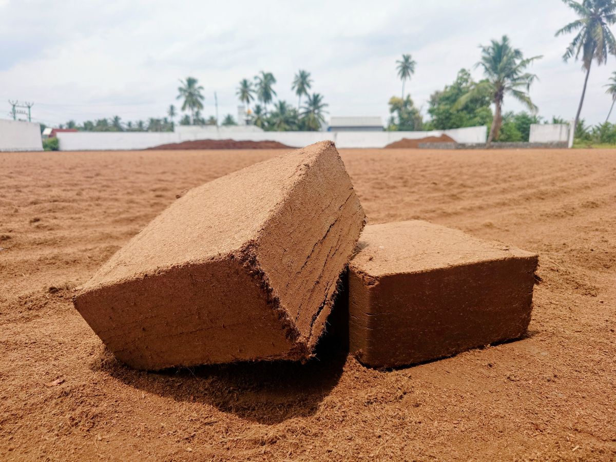 Compressed low-EC cocopeat blocks drying on a coir yard in Indonesia